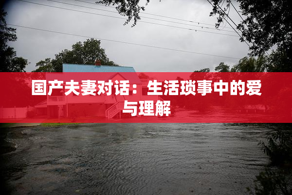 国产夫妻对话：生活琐事中的爱与理解