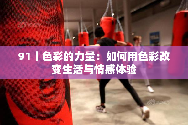 91丨色彩的力量：如何用色彩改变生活与情感体验