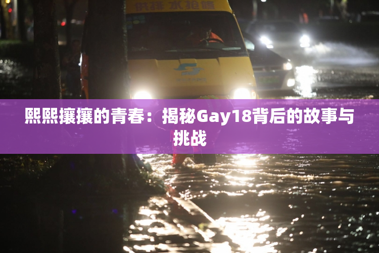 熙熙攘攘的青春：揭秘Gay18背后的故事与挑战