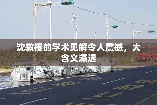 沈教授的学术见解令人震撼，大含义深远