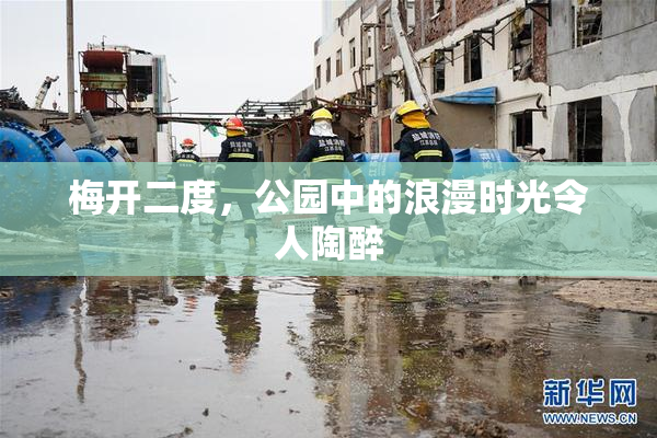 梅开二度，公园中的浪漫时光令人陶醉