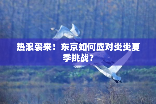 热浪袭来！东京如何应对炎炎夏季挑战？