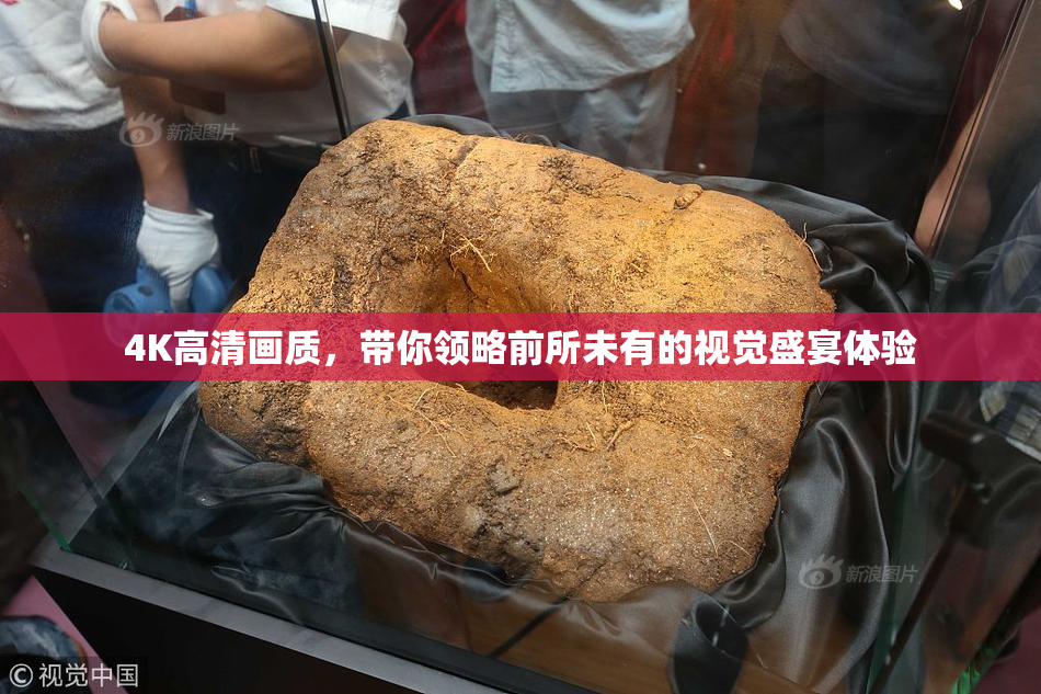 4K高清画质，带你领略前所未有的视觉盛宴体验
