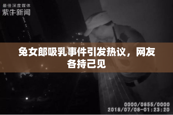 兔女郎吸乳事件引发热议，网友各持己见