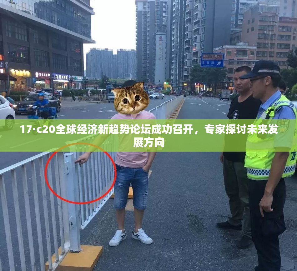 17·c20全球经济新趋势论坛成功召开，专家探讨未来发展方向