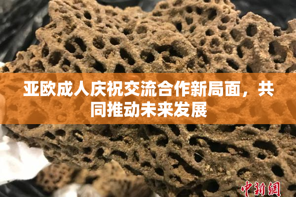 亚欧成人庆祝交流合作新局面，共同推动未来发展