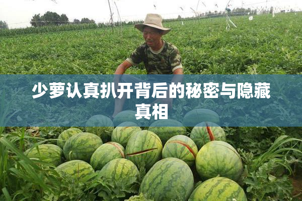 少萝认真扒开背后的秘密与隐藏真相