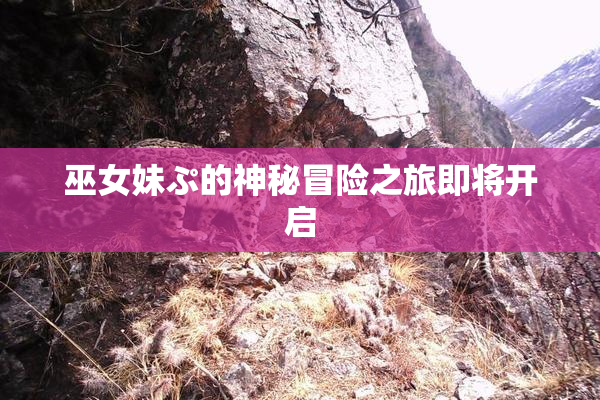巫女妹ぷ的神秘冒险之旅即将开启