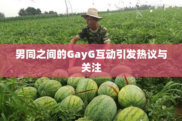 男同之间的GayG互动引发热议与关注