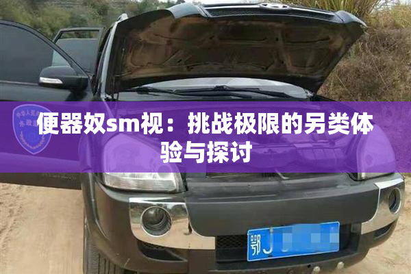 便器奴sm视：挑战极限的另类体验与探讨