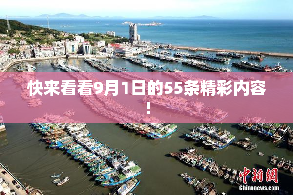 快来看看9月1日的55条精彩内容！