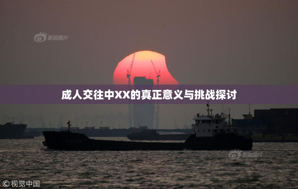 成人交往中XX的真正意义与挑战探讨