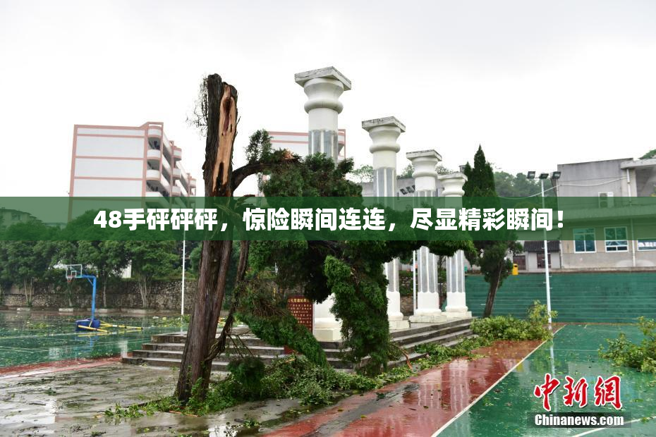 48手砰砰砰，惊险瞬间连连，尽显精彩瞬间！