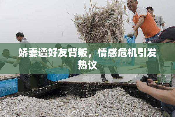 娇妻遭好友背叛，情感危机引发热议