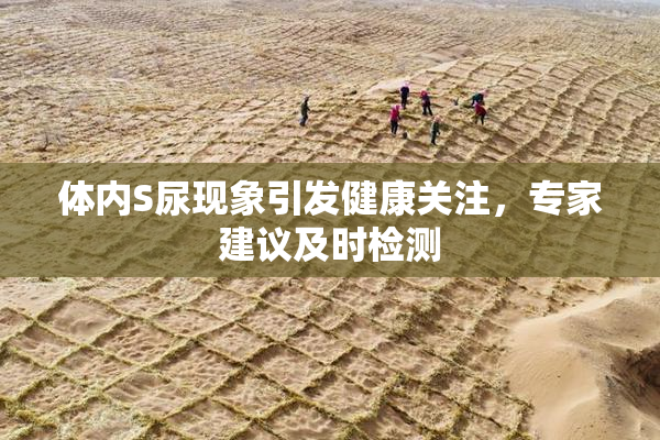 体内S尿现象引发健康关注，专家建议及时检测