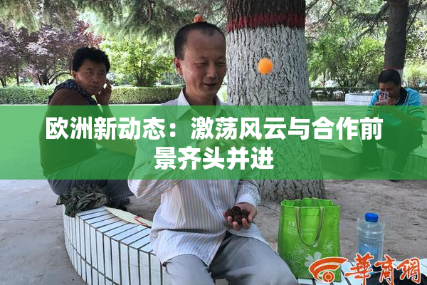 欧洲新动态：激荡风云与合作前景齐头并进