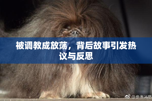 被调教成放荡，背后故事引发热议与反思