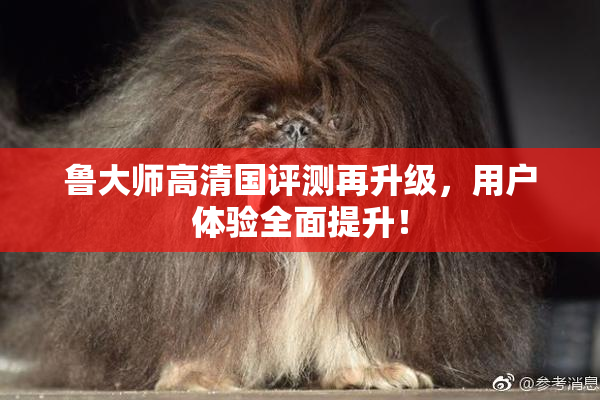 鲁大师高清国评测再升级，用户体验全面提升！