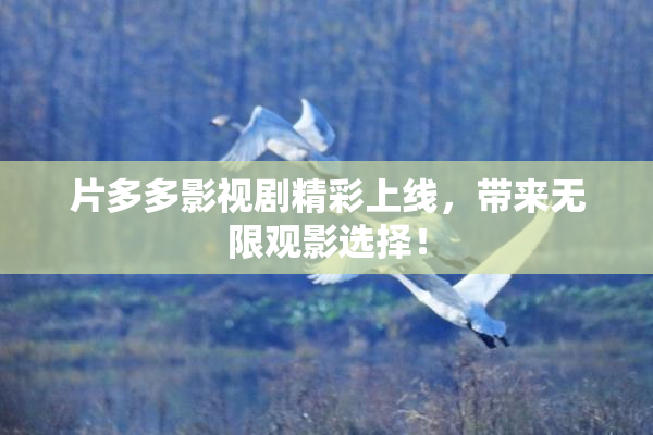 片多多影视剧精彩上线，带来无限观影选择！