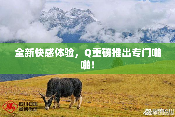 全新快感体验，Q重磅推出专门啪啪！