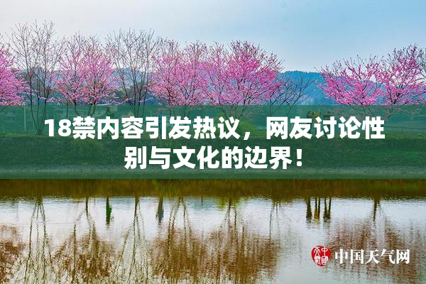 18禁内容引发热议，网友讨论性别与文化的边界！
