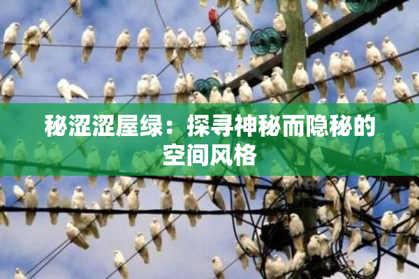 秘涩涩屋绿：探寻神秘而隐秘的空间风格