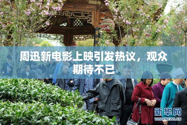 周迅新电影上映引发热议，观众期待不已
