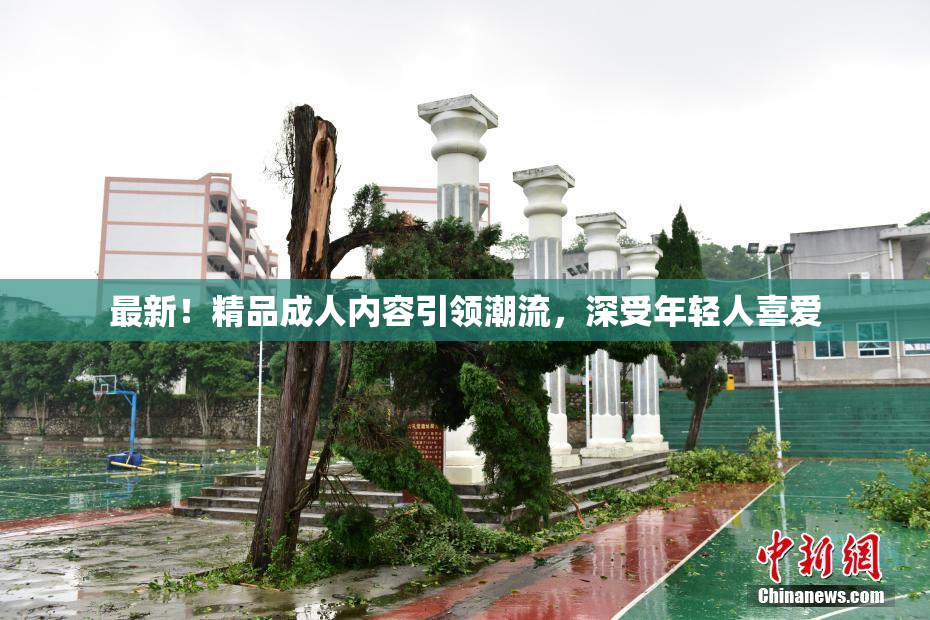 最新！精品成人内容引领潮流，深受年轻人喜爱