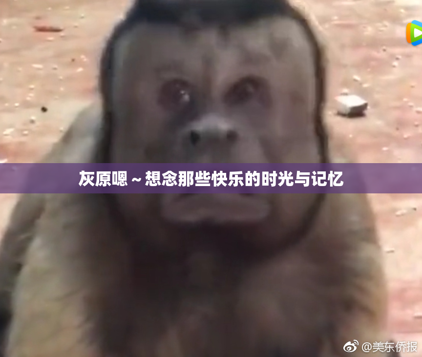 灰原嗯～想念那些快乐的时光与记忆