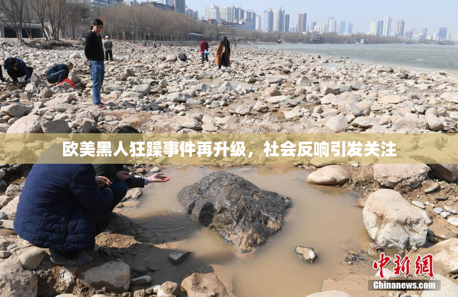 欧美黑人狂躁事件再升级，社会反响引发关注