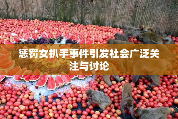 惩罚女扒手事件引发社会广泛关注与讨论