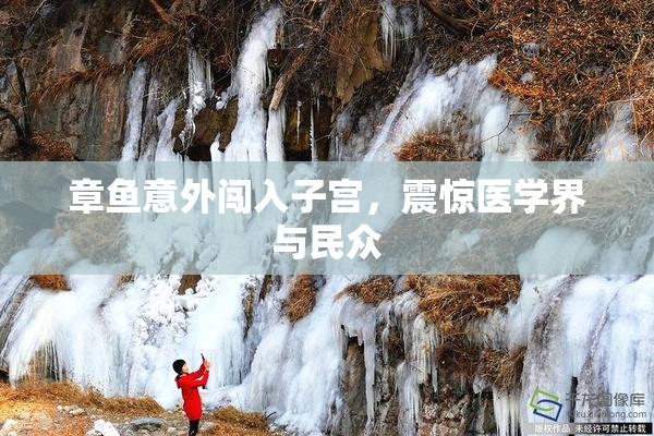 章鱼意外闯入子宫，震惊医学界与民众