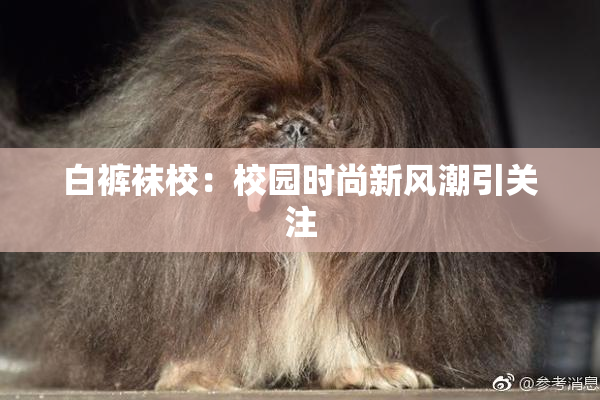 白裤袜校：校园时尚新风潮引关注