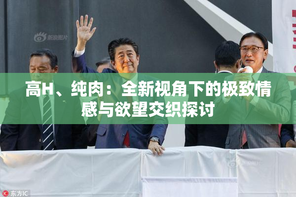 高H、纯肉：全新视角下的极致情感与欲望交织探讨