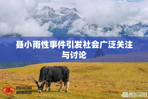 聂小雨性事件引发社会广泛关注与讨论