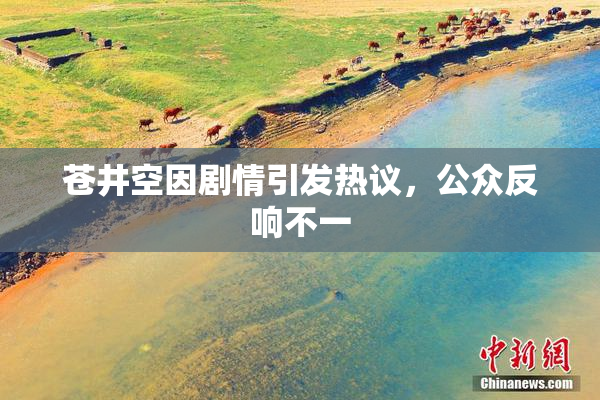 苍井空因剧情引发热议，公众反响不一