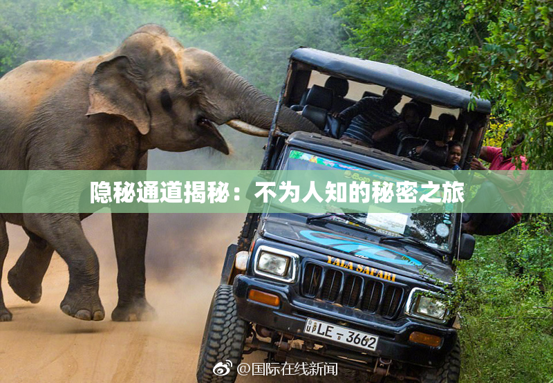 隐秘通道揭秘：不为人知的秘密之旅