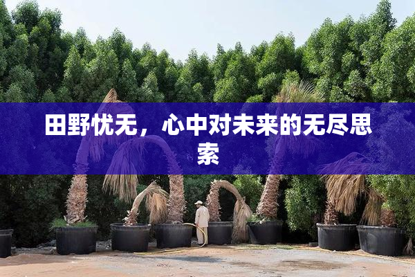 田野忧无，心中对未来的无尽思索