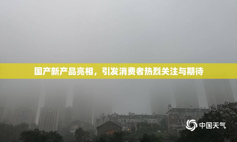 国产新产品亮相，引发消费者热烈关注与期待