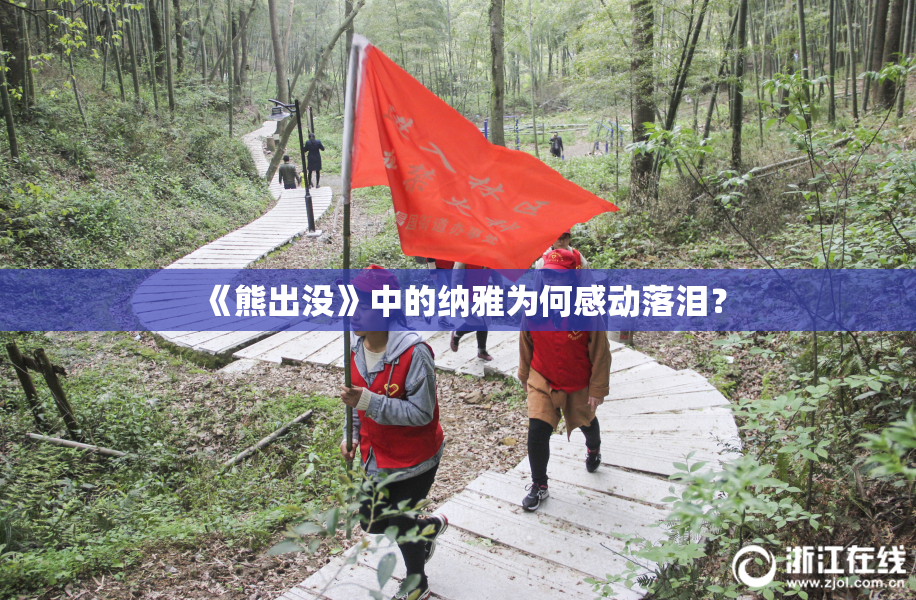 《熊出没》中的纳雅为何感动落泪？