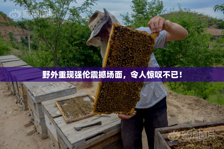 野外重现强伦震撼场面，令人惊叹不已！