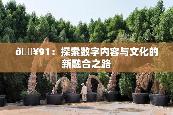 🔥91：探索数字内容与文化的新融合之路