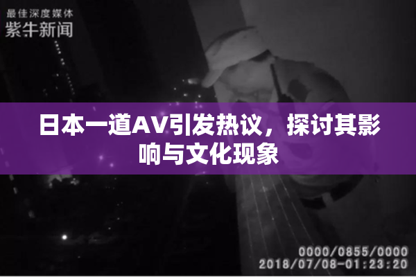日本一道AV引发热议，探讨其影响与文化现象