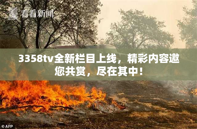 3358tv全新栏目上线，精彩内容邀您共赏，尽在其中！