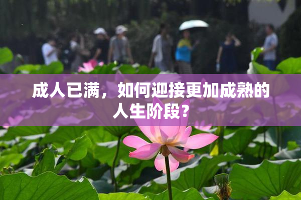 成人已满，如何迎接更加成熟的人生阶段？