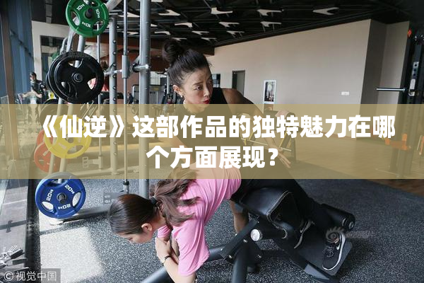 《仙逆》这部作品的独特魅力在哪个方面展现？