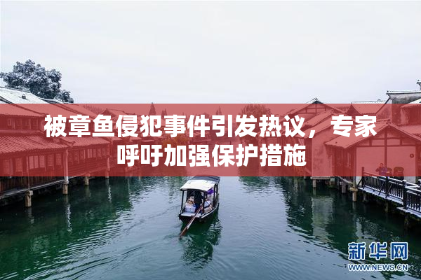被章鱼侵犯事件引发热议，专家呼吁加强保护措施