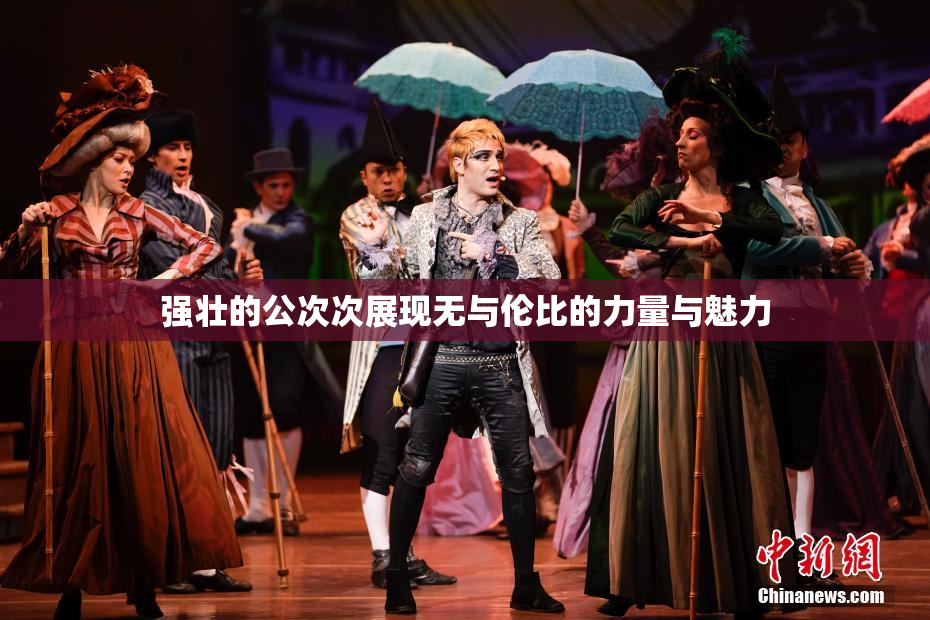 强壮的公次次展现无与伦比的力量与魅力