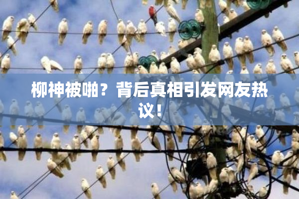柳神被啪？背后真相引发网友热议！
