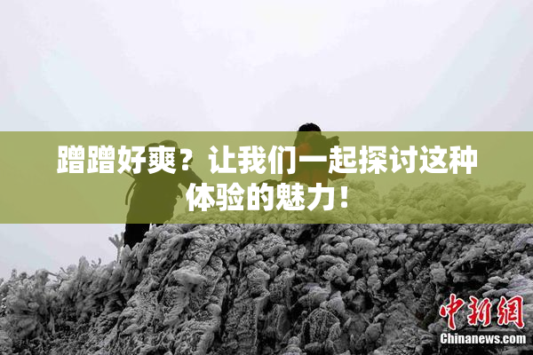 蹭蹭好爽？让我们一起探讨这种体验的魅力！